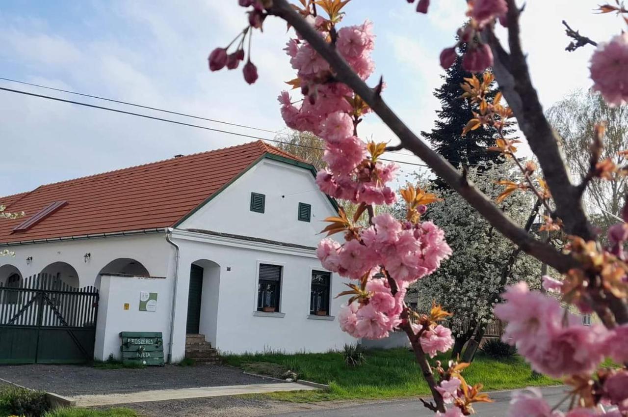 Fuszeres Porta Сasa de vacaciones *
